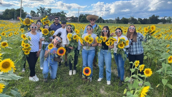 My Maryland Farmers Sunflowers footer