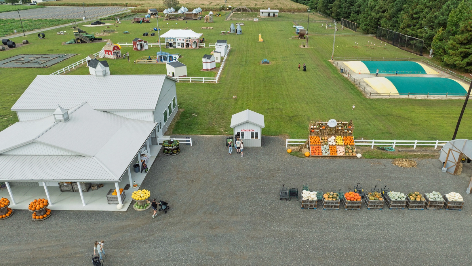Pumpkins My Maryland Farmers